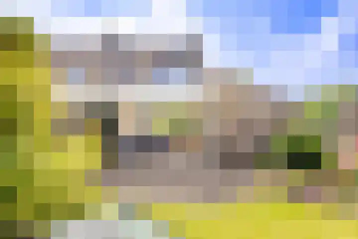Sint Jorisstraat 36 Maashees thumbnail 47
