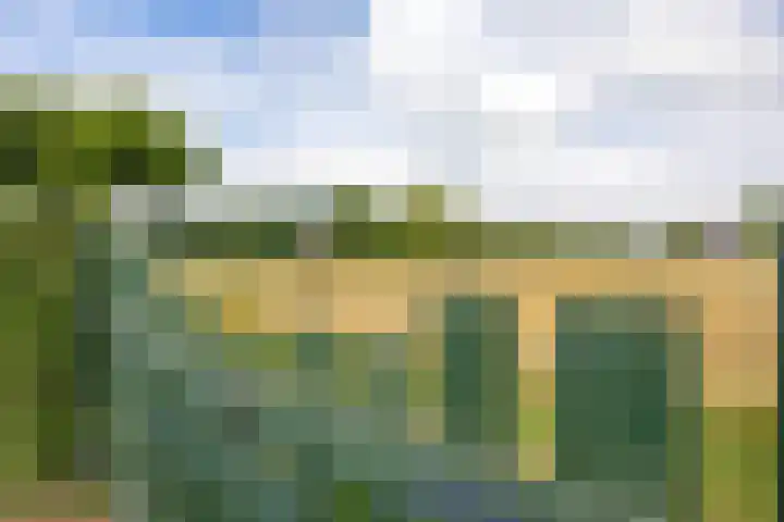 Sint Jorisstraat 36 Maashees thumbnail 49
