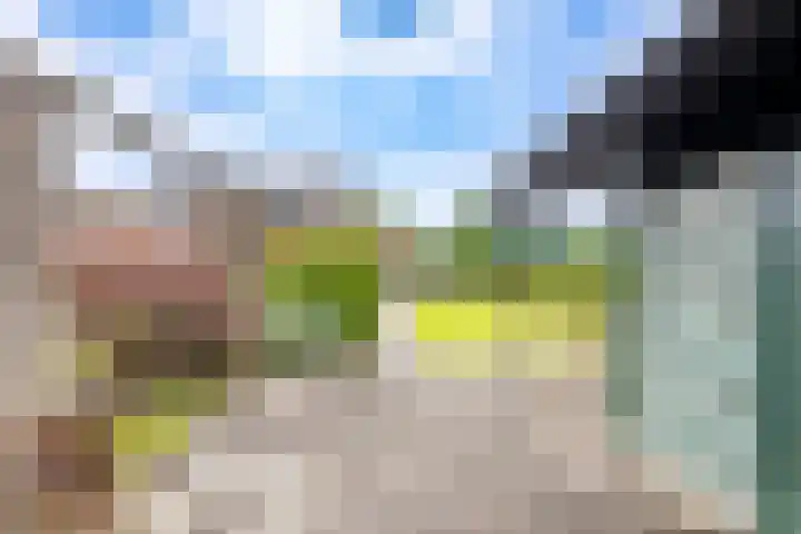 Sint Jorisstraat 36 Maashees thumbnail 51