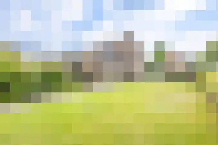 Sint Jorisstraat 36 Maashees thumbnail 54