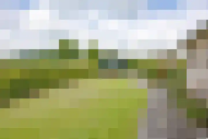 Sint Jorisstraat 36 Maashees thumbnail 55