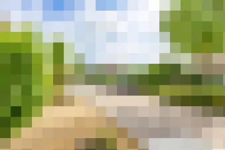 Sint Jorisstraat 36 Maashees thumbnail 58