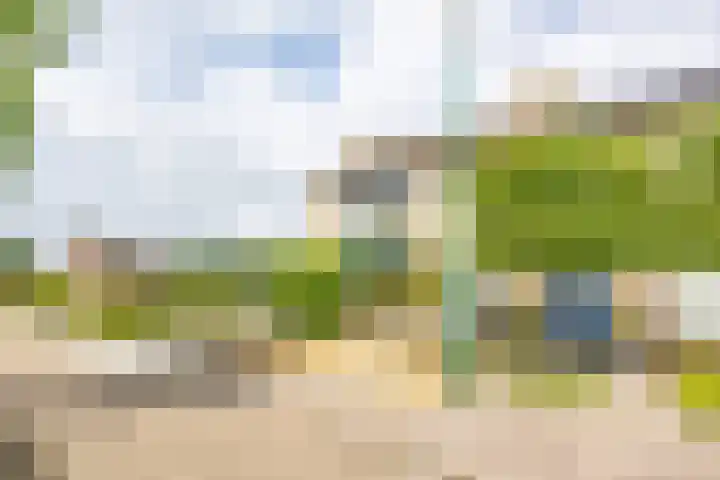 Sint Jorisstraat 36 Maashees thumbnail 60