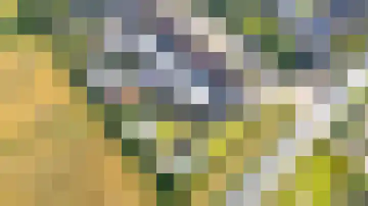 Sint Jorisstraat 36 Maashees thumbnail 65