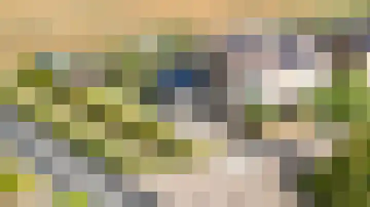 Sint Jorisstraat 36 Maashees thumbnail 66