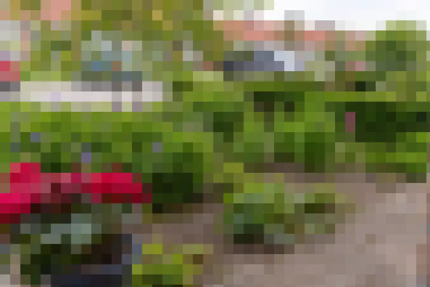 Sint Jorisstraat 4 Berlicum thumbnail 41