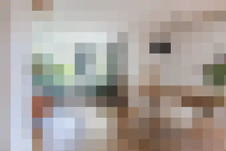 Sint Jorisstraat 5 Berkel-Enschot thumbnail 5