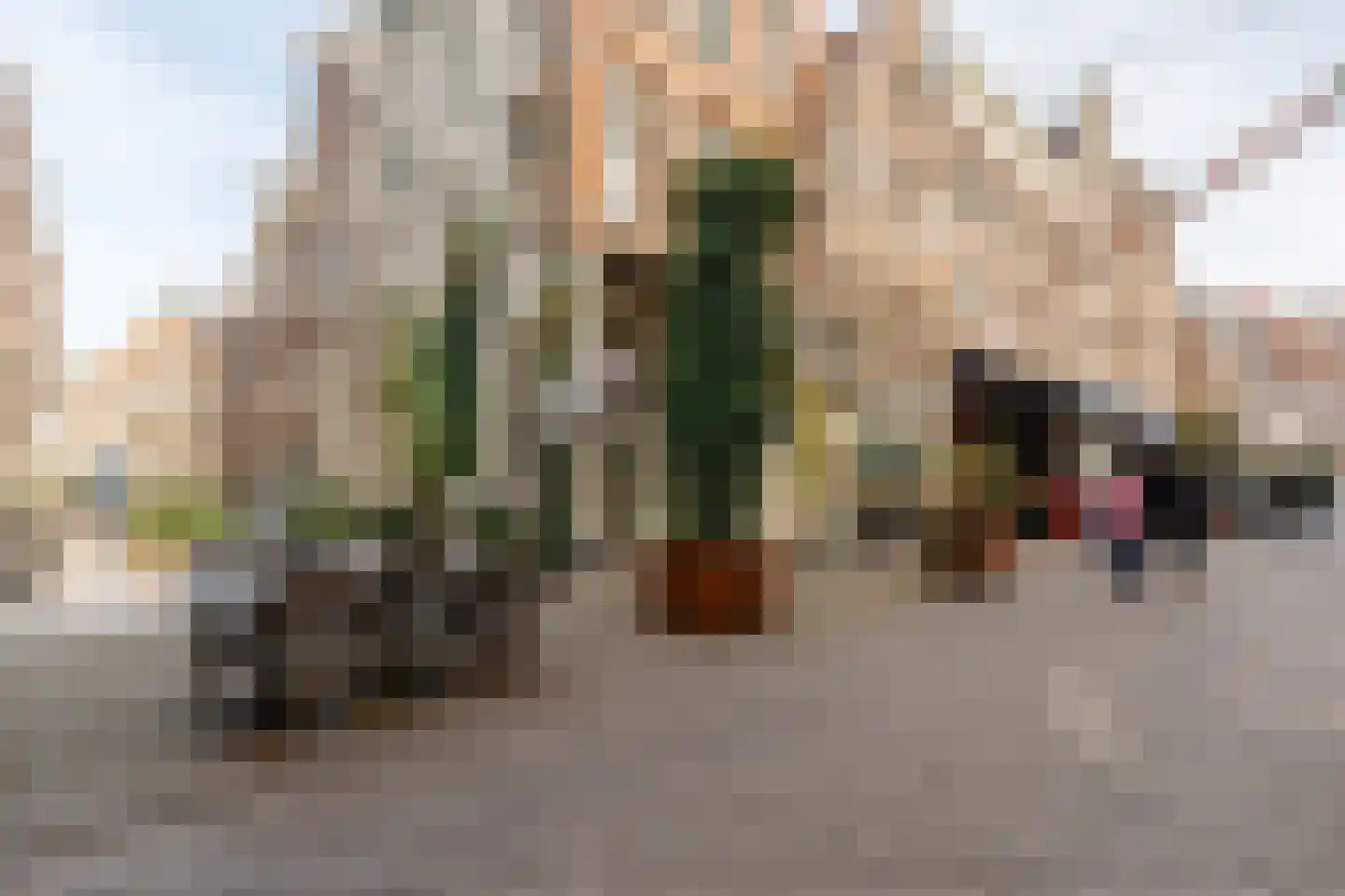 Sint Jorisstraat 6 Amsterdam thumbnail 30