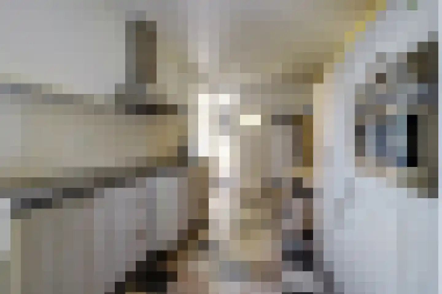 Sint Jorisstraat 6 Maashees thumbnail 12