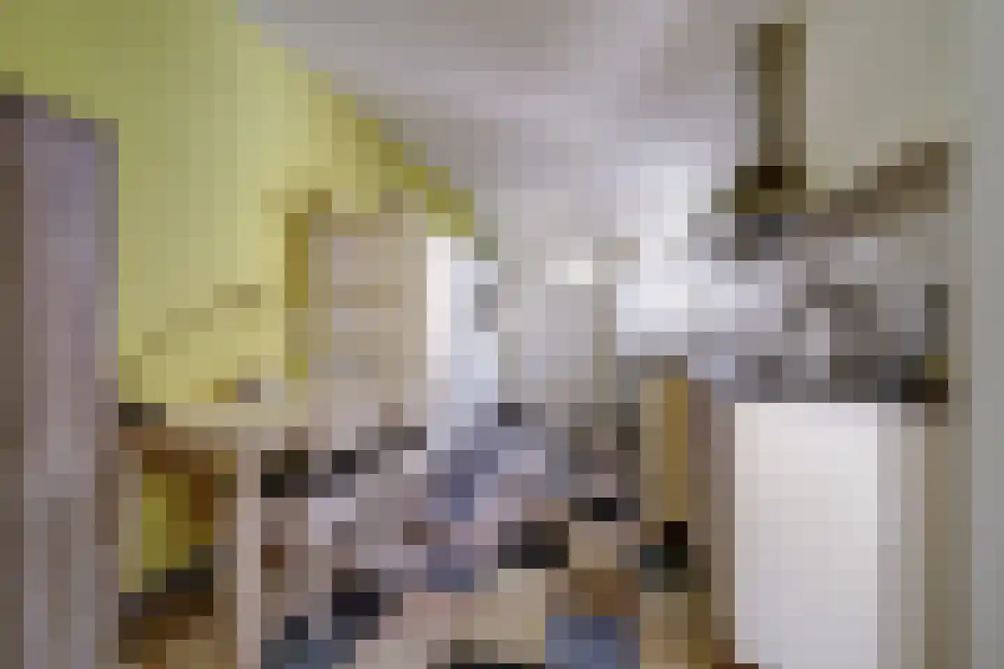 Sint Jorisstraat 6 Maashees thumbnail 13