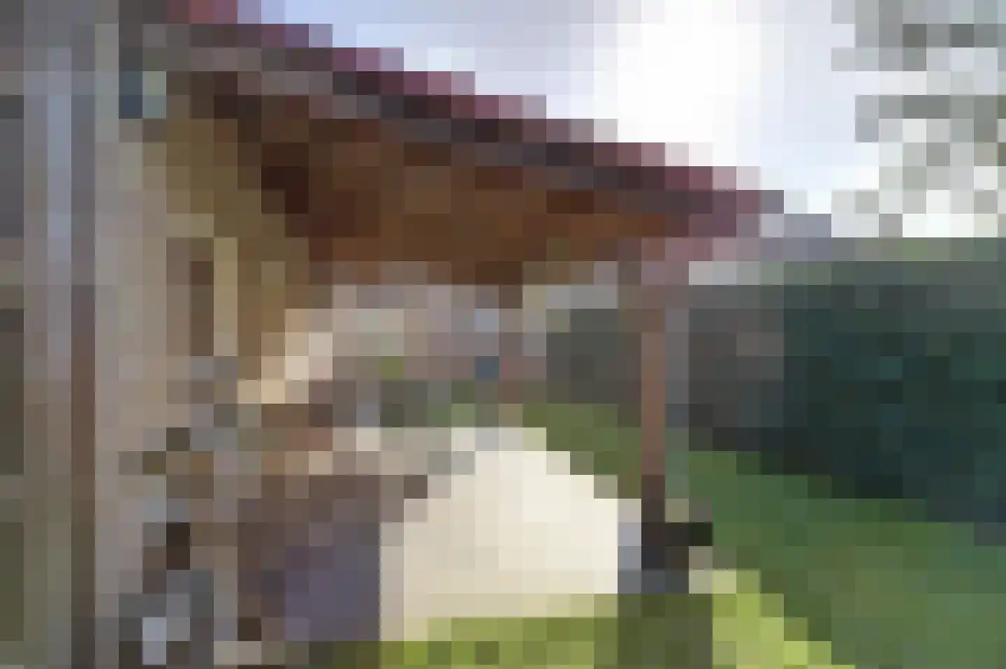 Sint Jorisstraat 6 Maashees thumbnail 27