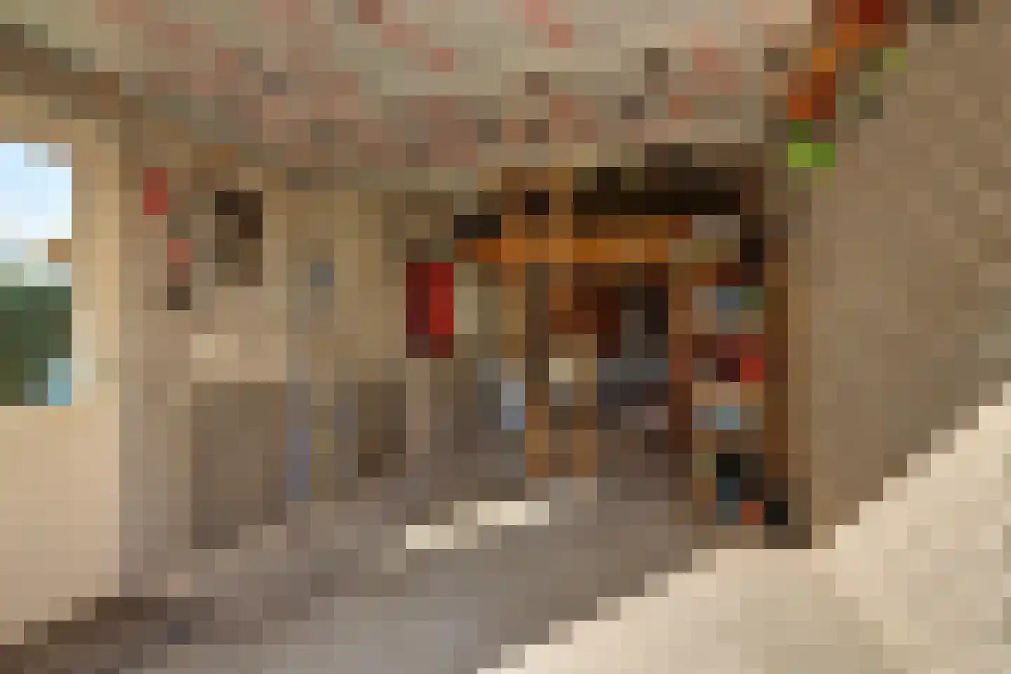 Sint Jorisstraat 6 Maashees thumbnail 31