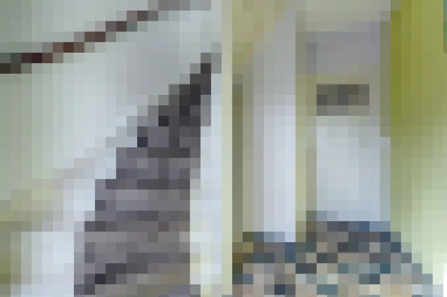 Sint Jorisstraat 6 Maashees thumbnail 6