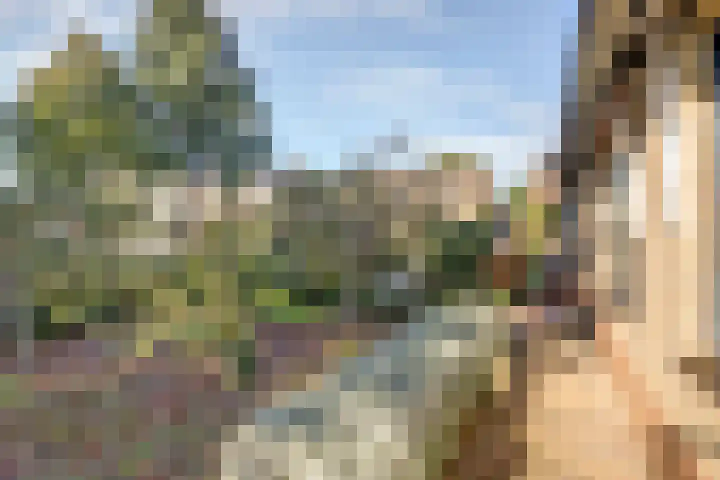 Sint Jorisstraat 8 Beesel thumbnail 51