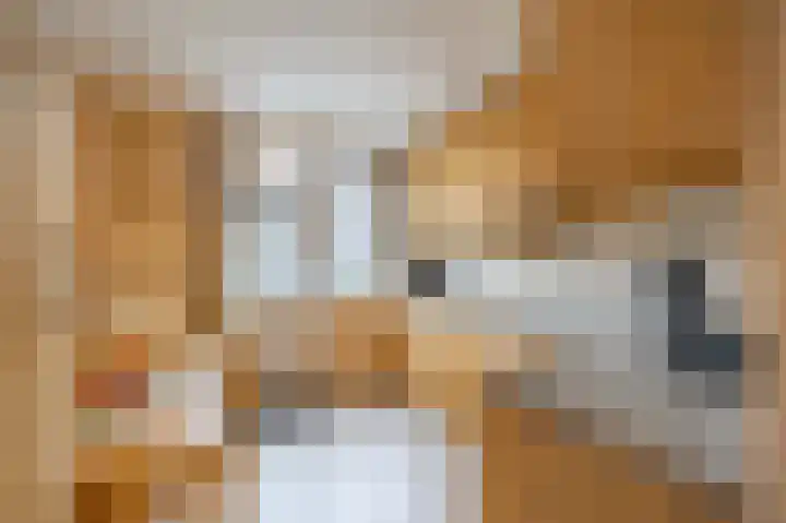 Sint Jorisstraat 9 Maashees thumbnail 12
