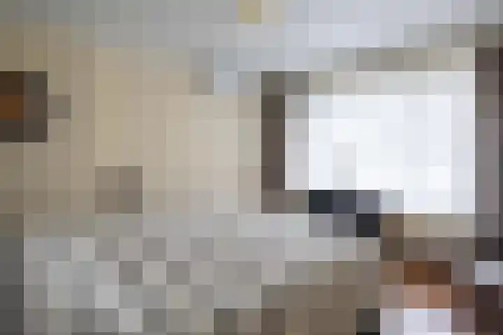 Sint Jorisstraat 9 Maashees thumbnail 17