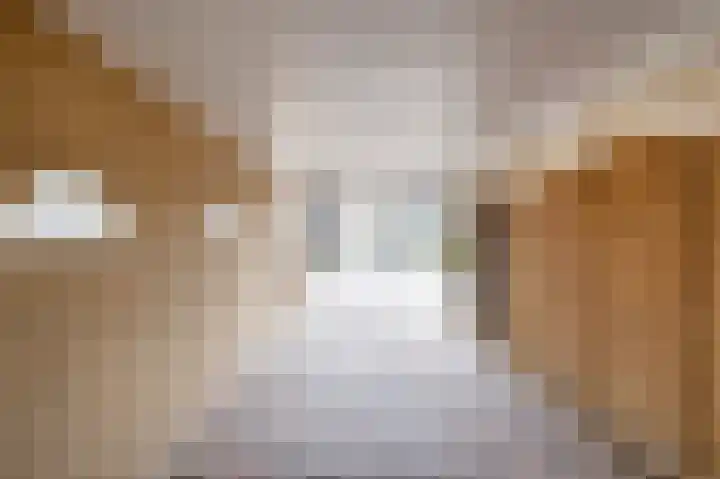 Sint Jorisstraat 9 Maashees thumbnail 28