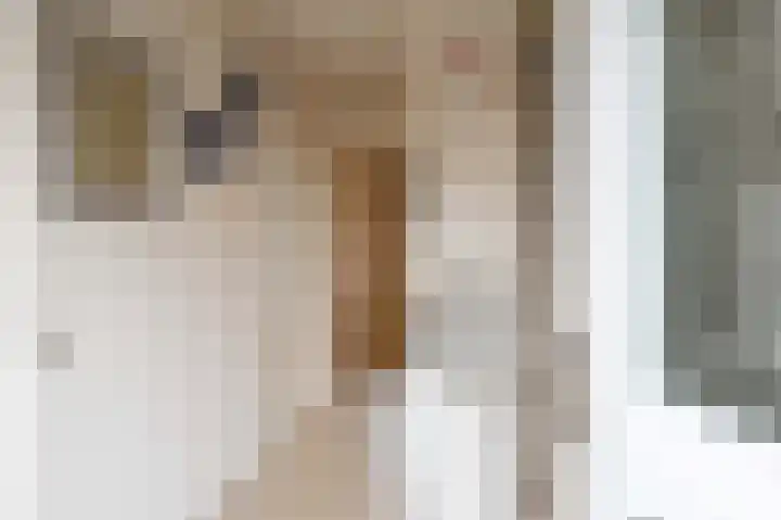 Sint Jorisstraat 9 Maashees thumbnail 5