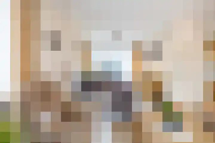 Sint Jorisstraat 9 Maashees thumbnail 9