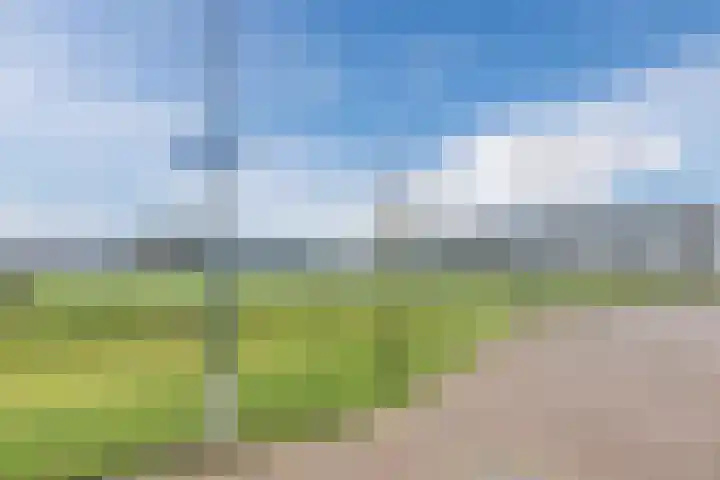 Sint Jorisveld 19 Dorst thumbnail 32