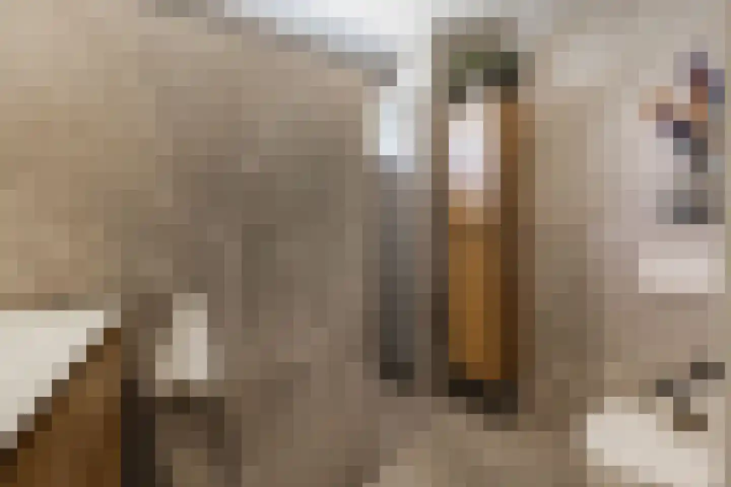 Sint Jorisveld 27 Dorst thumbnail 28