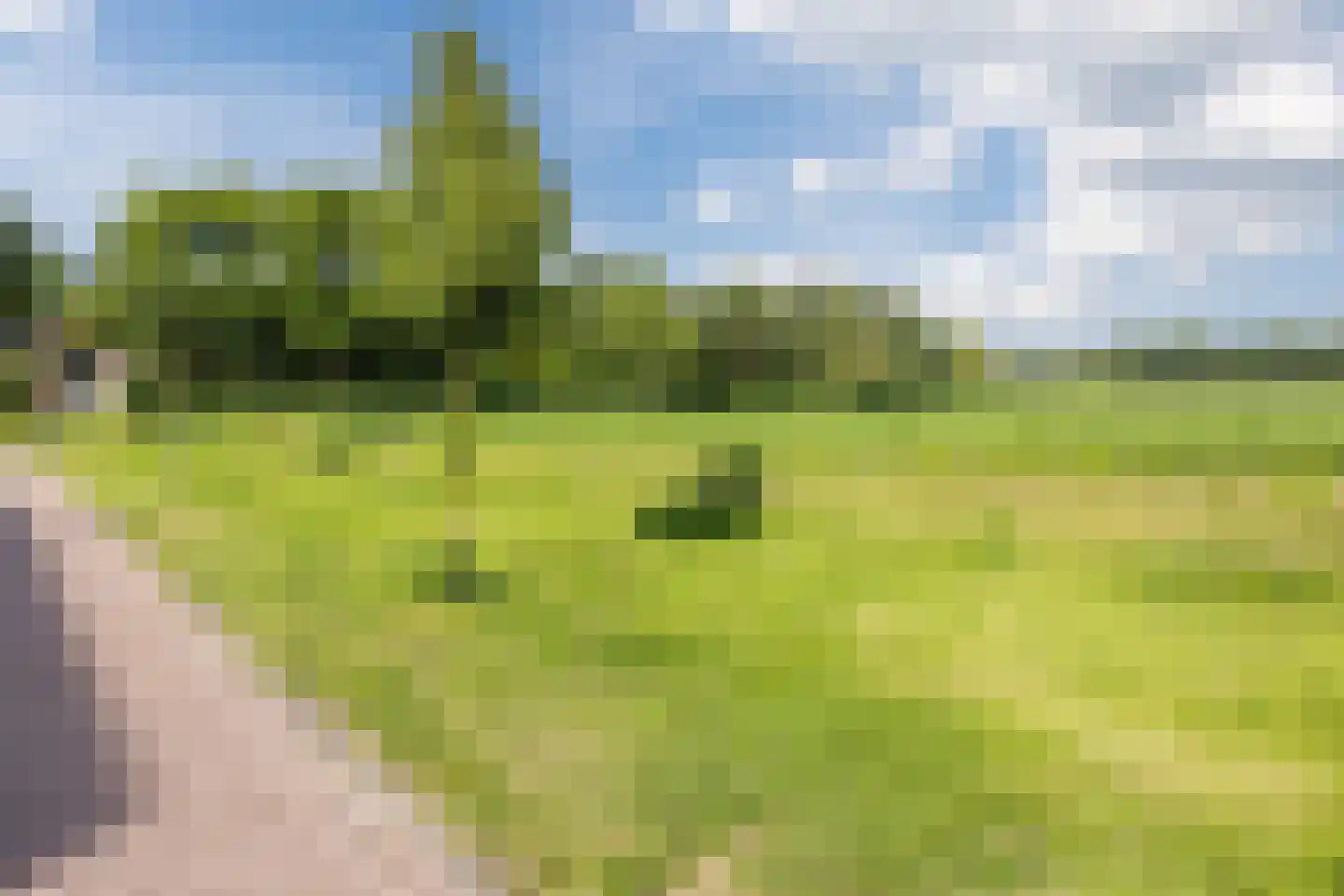Sint Jorisveld 41 Dorst thumbnail 37