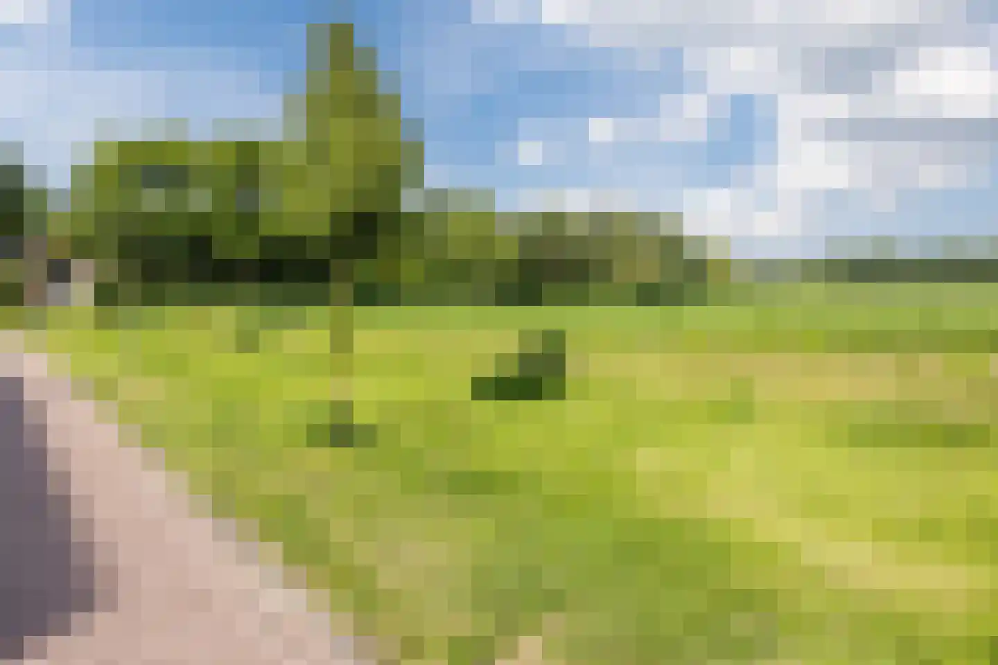 Sint Jorisveld 41 Dorst thumbnail 37