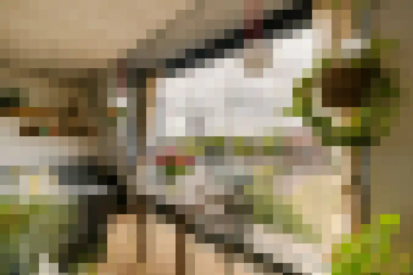 Sint-Jorisveld 51 Haarlem thumbnail 29