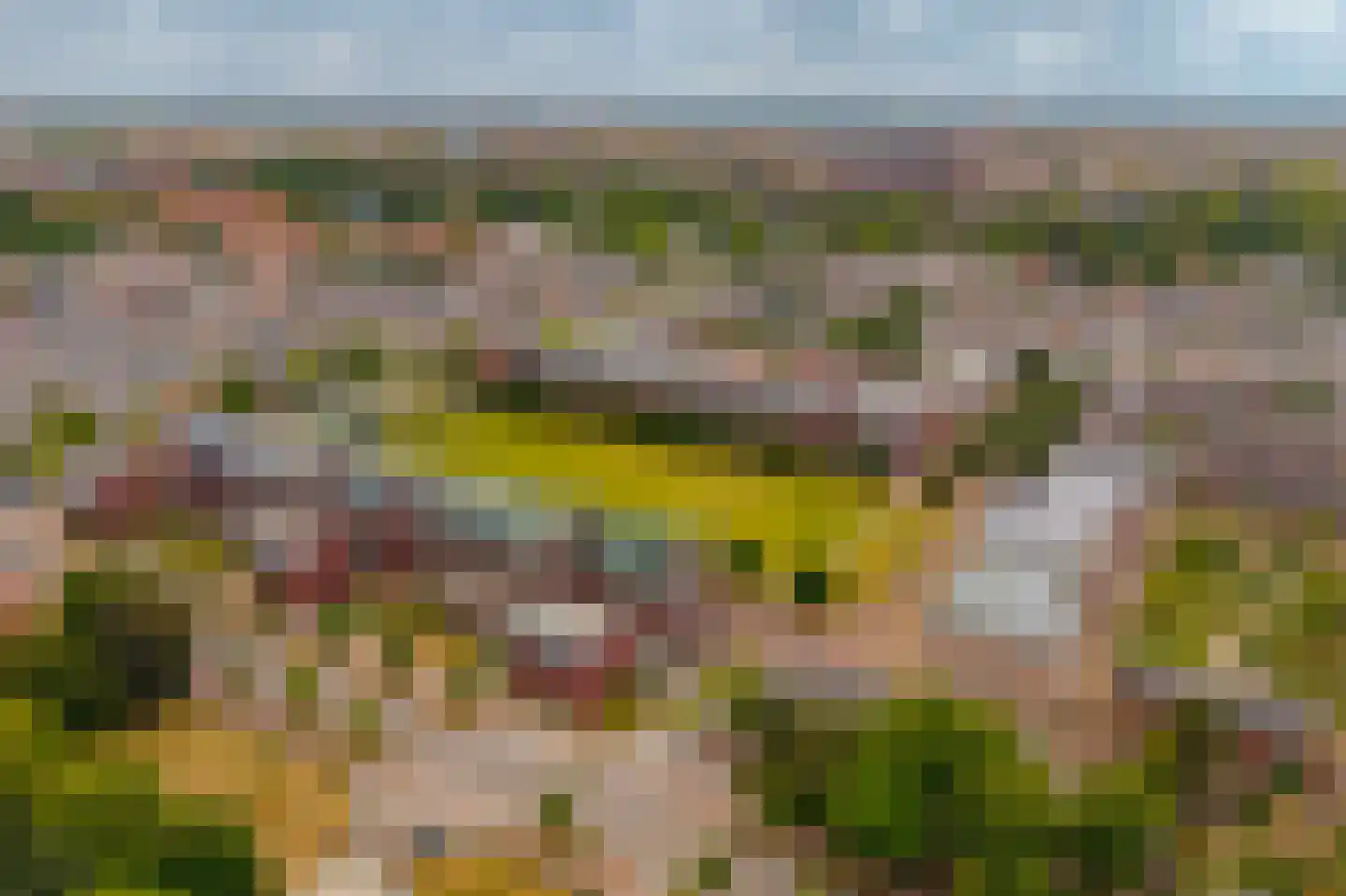 Sint-Jorisveld 51 Haarlem thumbnail 59