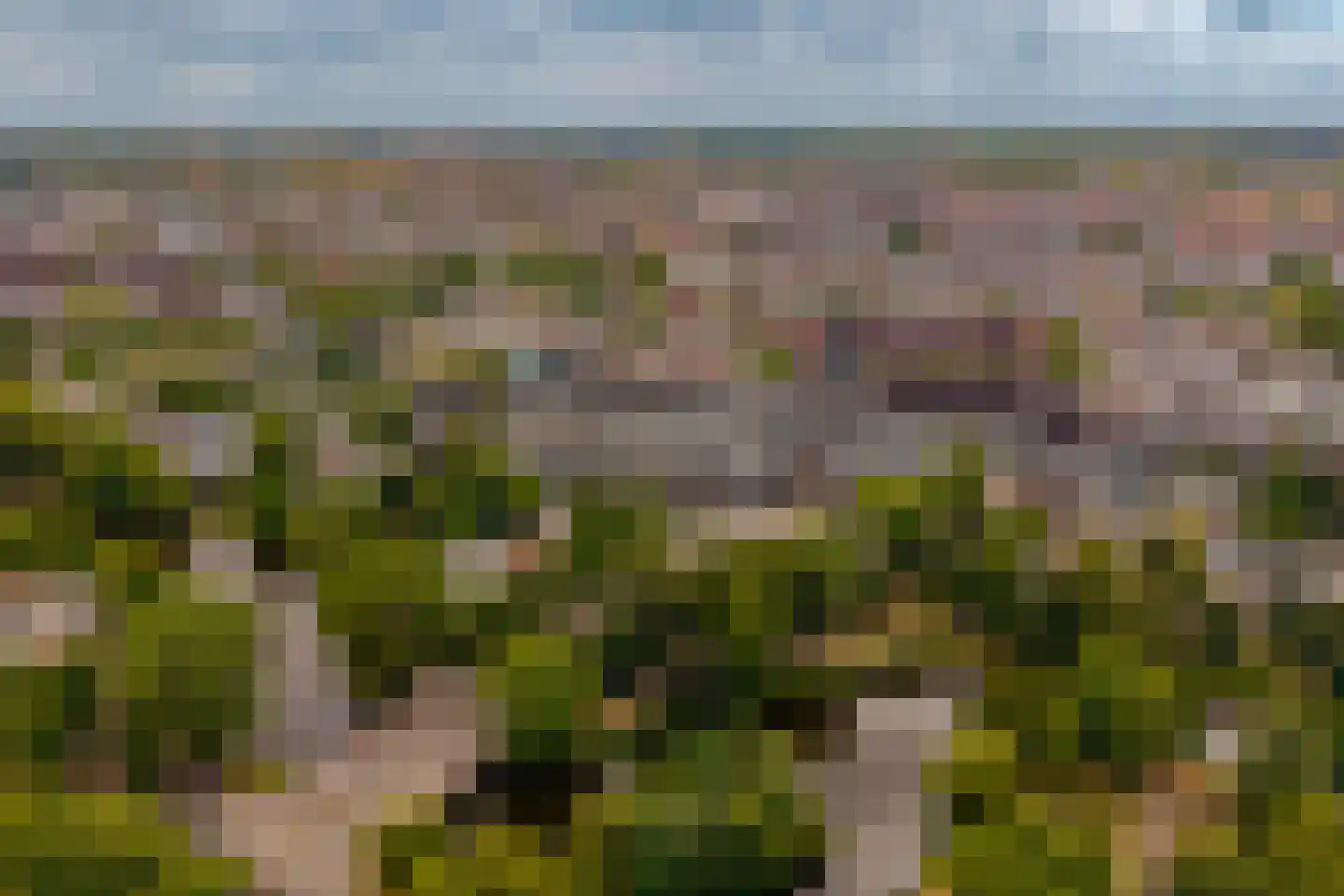 Sint-Jorisveld 51 Haarlem thumbnail 65