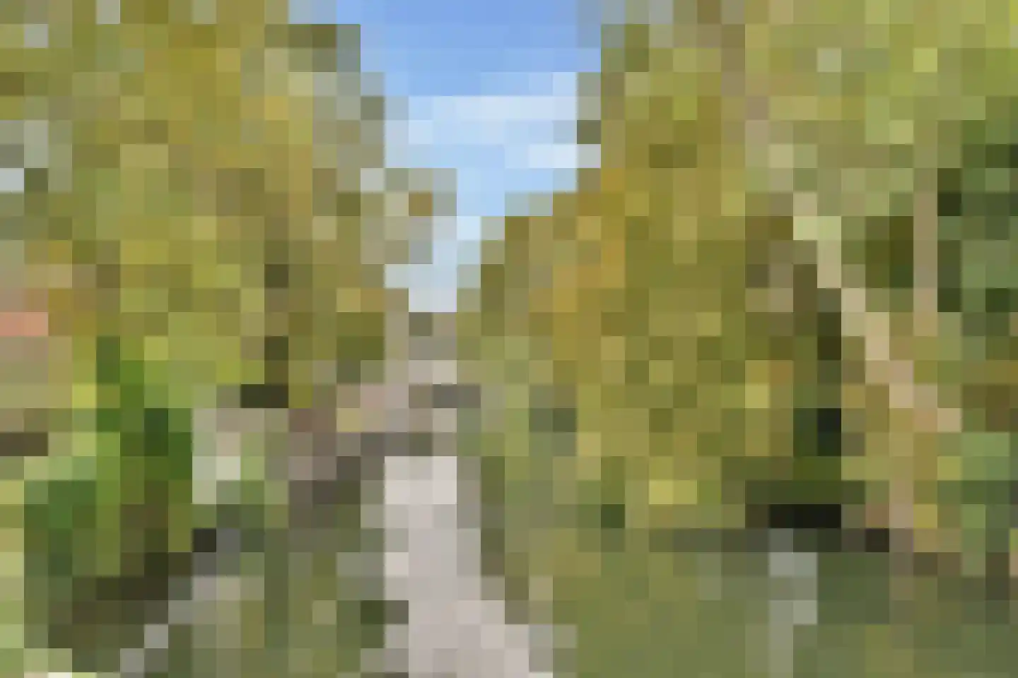 Sint Jorisweg 1 Dordrecht thumbnail 6