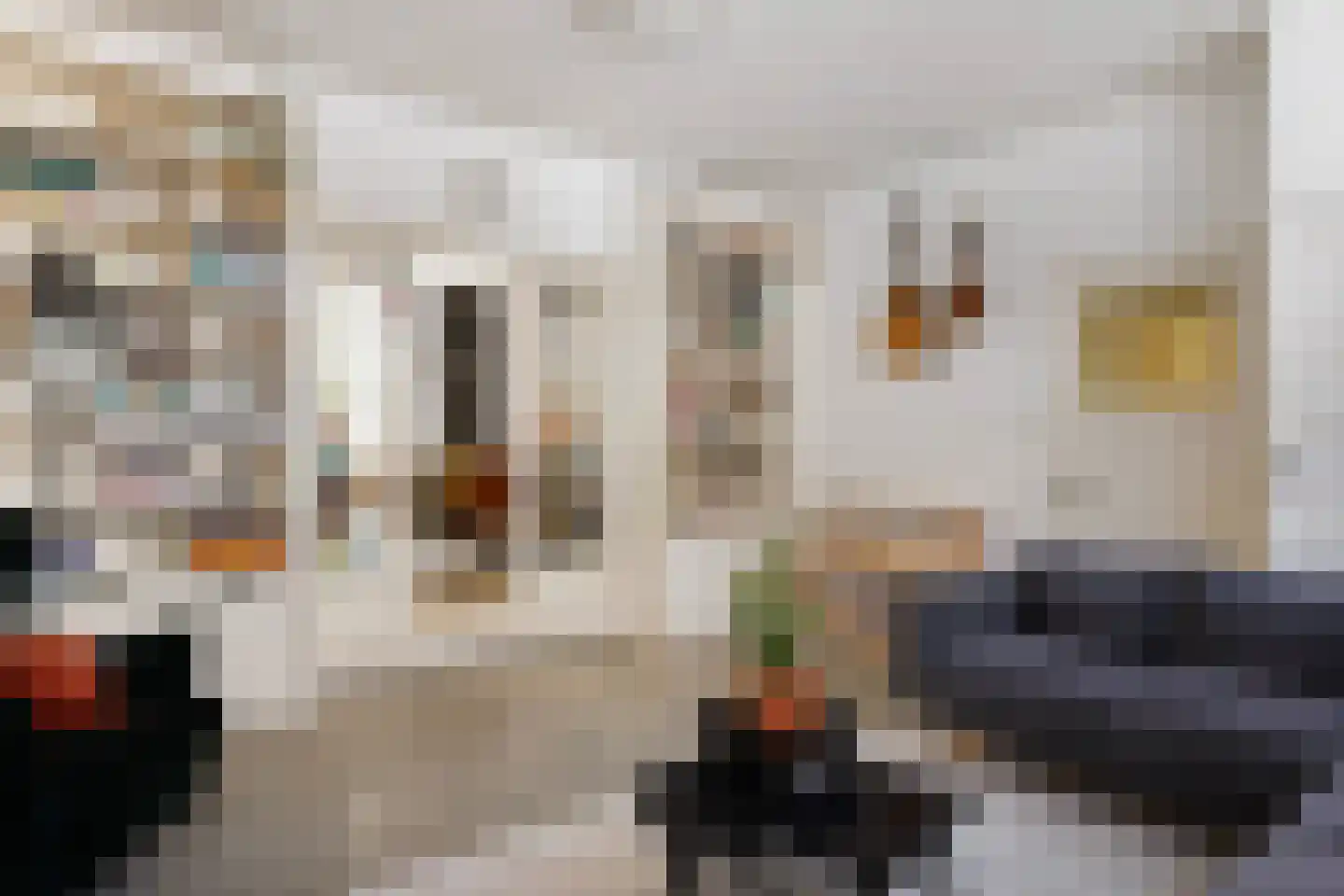 Sint Jorisweg 3 Dordrecht thumbnail 10