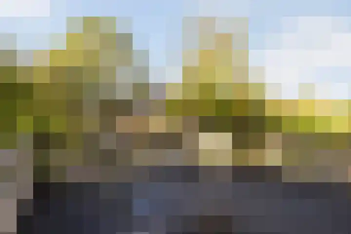 Sint Jorisweg 33 Dordrecht thumbnail 17