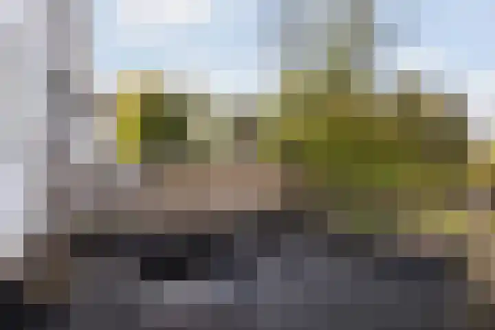 Sint Jorisweg 33 Dordrecht thumbnail 18