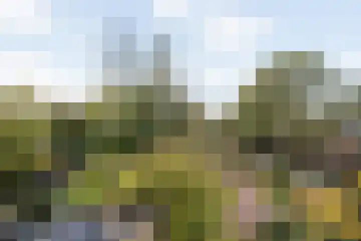 Sint Jorisweg 33 Dordrecht thumbnail 19