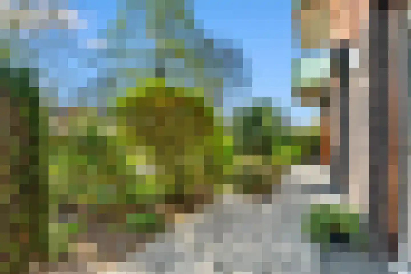 Sint Jorisweg 62 Epe thumbnail 19