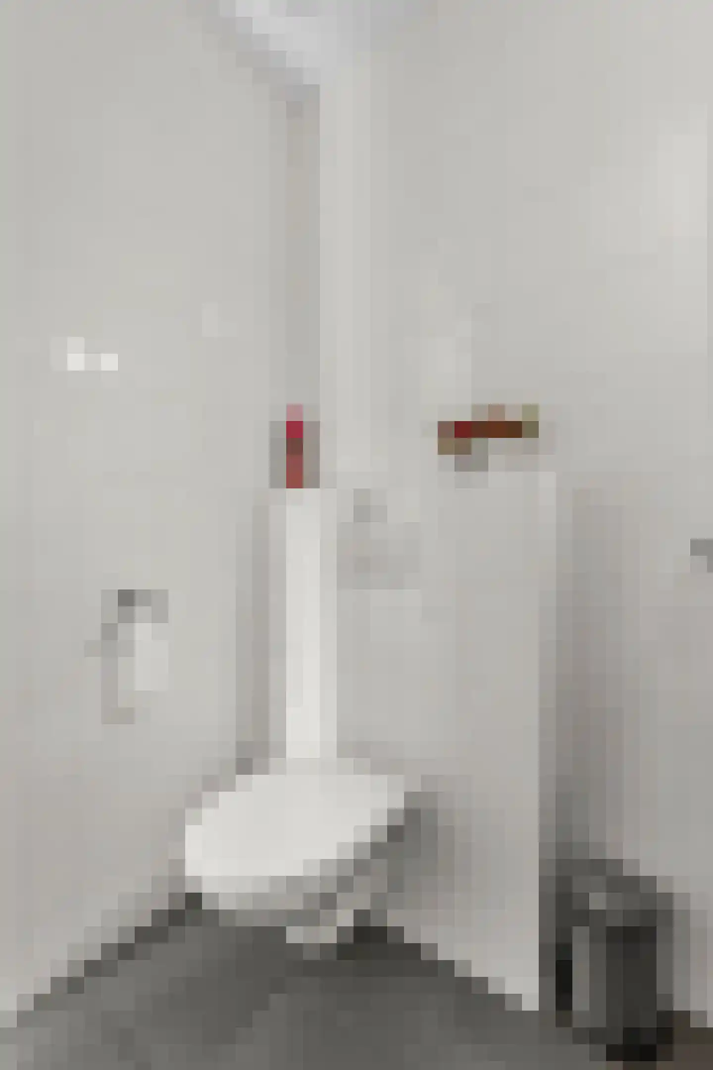 Sint Jorisweg 62 Epe thumbnail 29