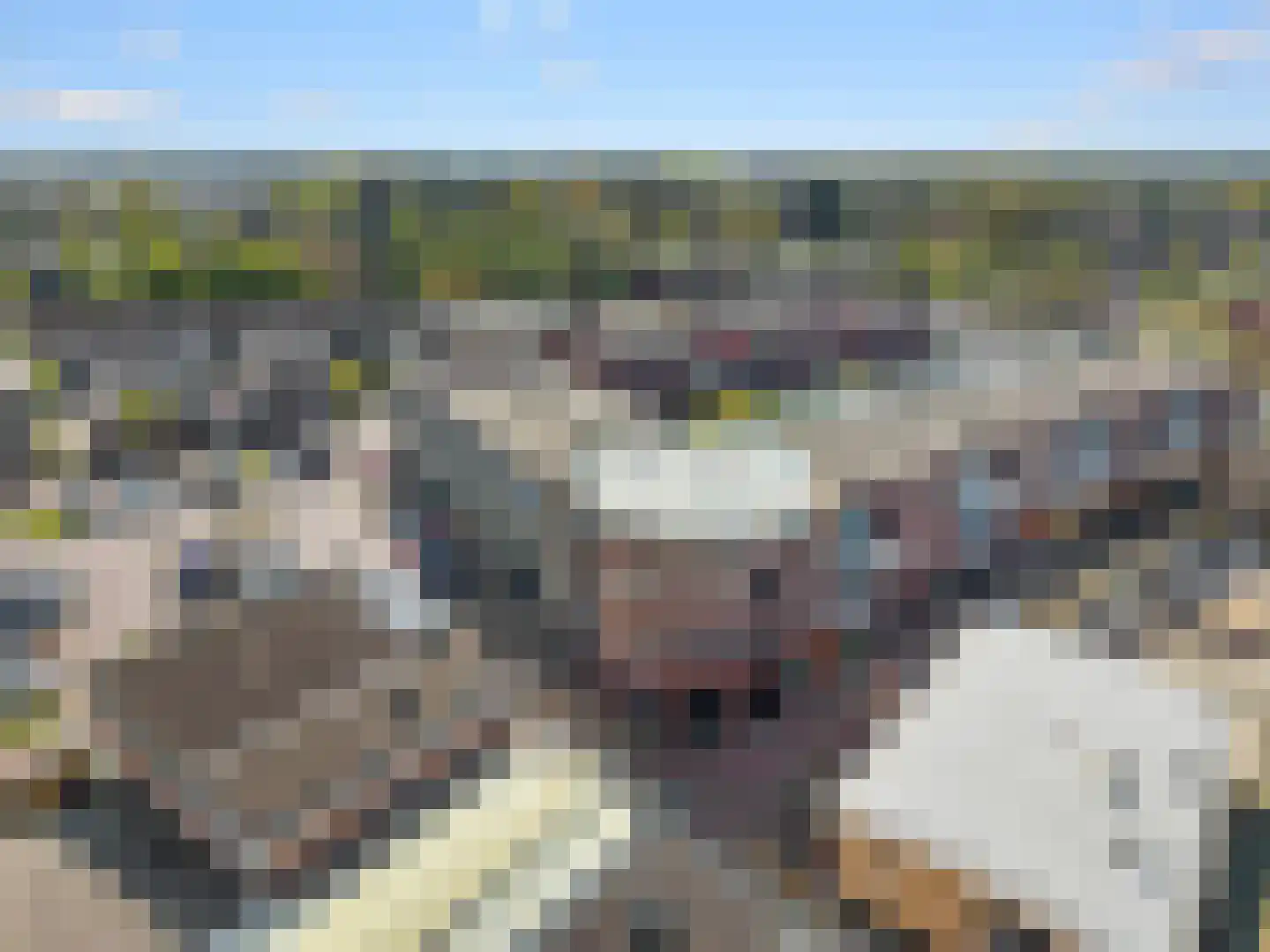 Sint Jorisweg 62 Epe thumbnail 37