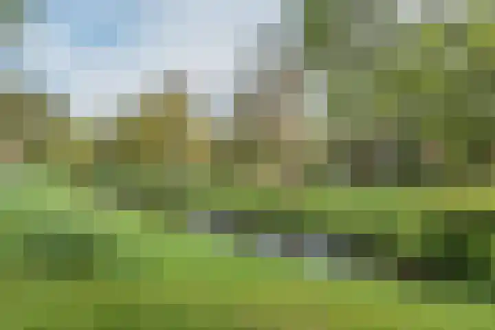 Sint Joriszicht 22 Delft thumbnail 28