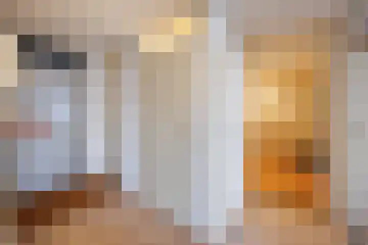 Sint Joriszicht 34 Delft thumbnail 6