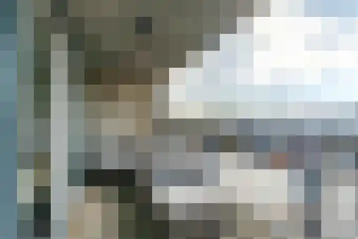 Sint Joriszicht 36 Delft thumbnail 17