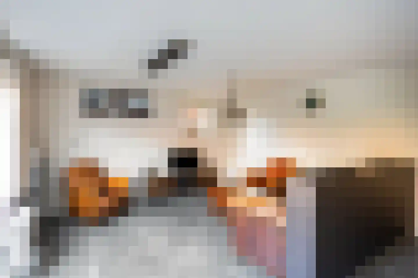 Sint Josephplein 2 Zwolle thumbnail 10