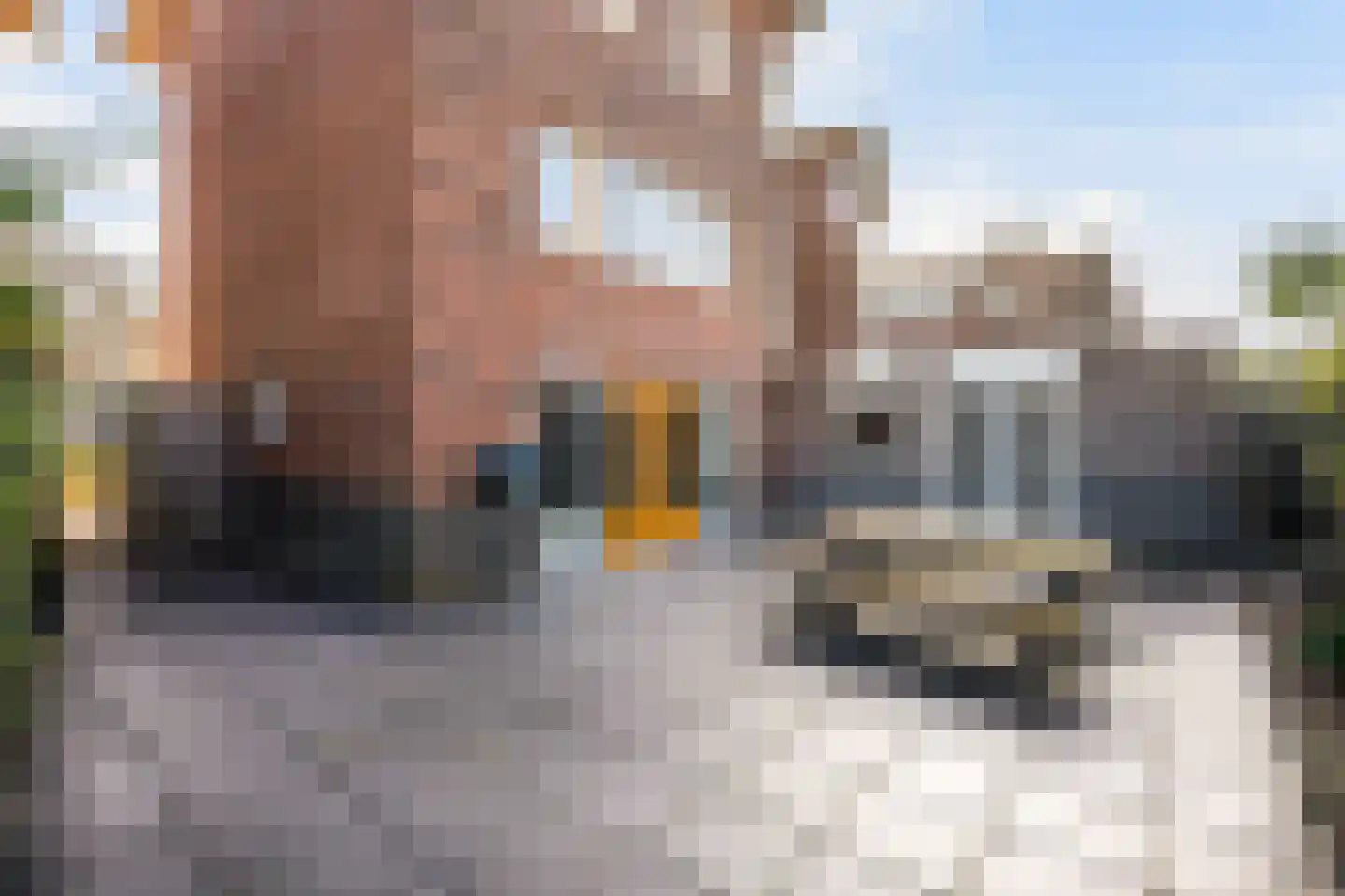 Sint Josephplein 2 Zwolle thumbnail 30