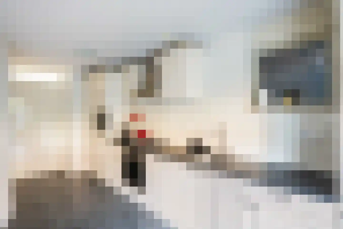 Sint Josephplein 2 Zwolle thumbnail 9