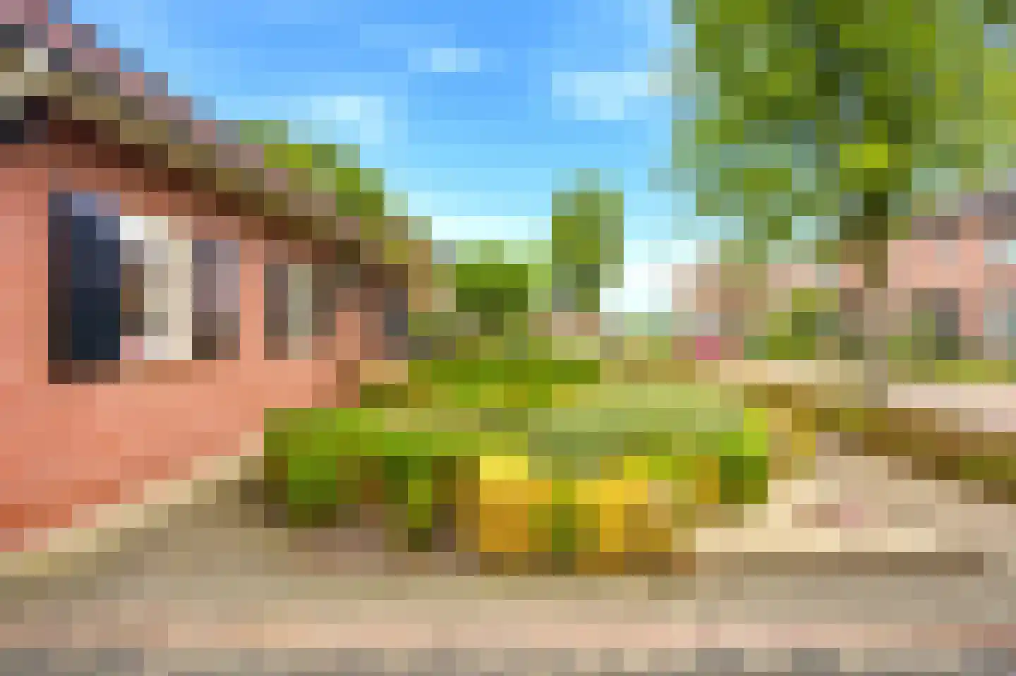 Sint Josephstraat 1 A Stevensbeek thumbnail 43