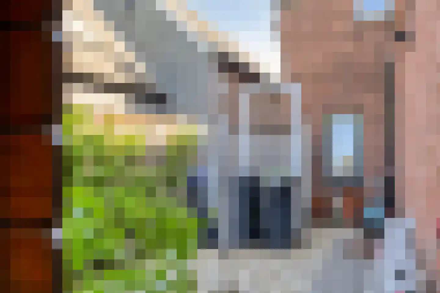 Sint Josephstraat 11 Dongen thumbnail 34