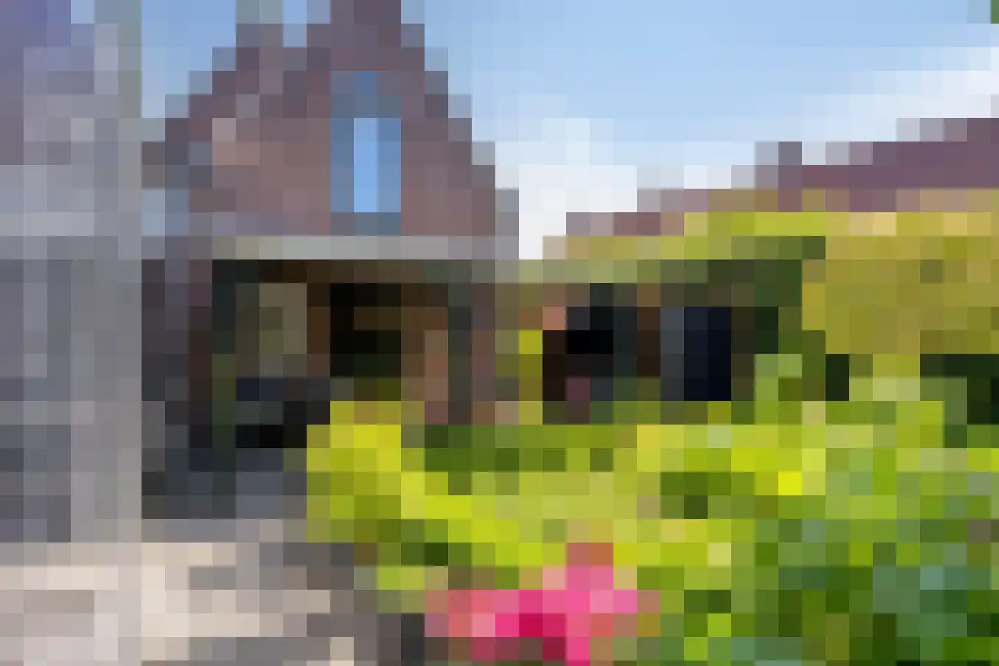Sint Josephstraat 11 Dongen thumbnail 6