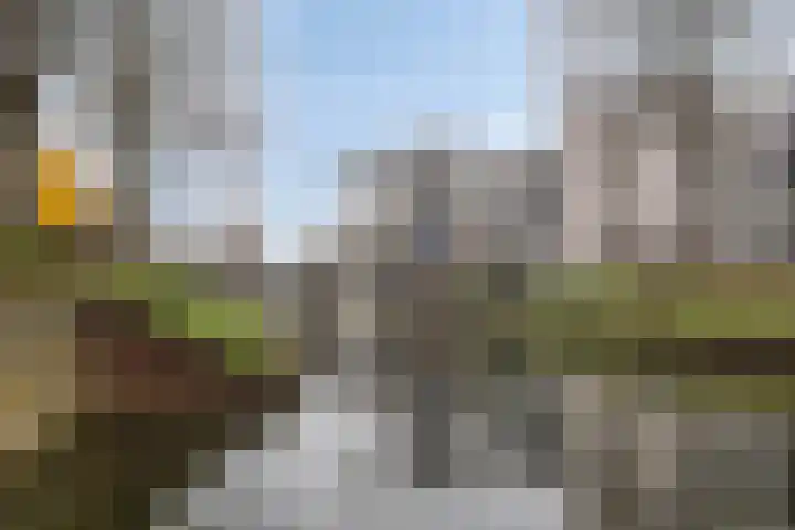 Sint Josephstraat 114 's-Hertogenbosch thumbnail 34