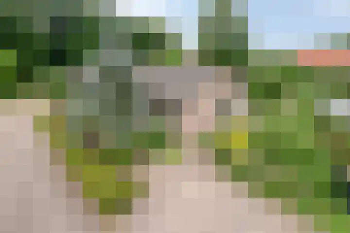 Sint Josephstraat 12 Stevensbeek thumbnail 11