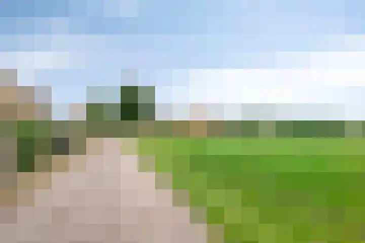 Sint Josephstraat 12 Stevensbeek thumbnail 6